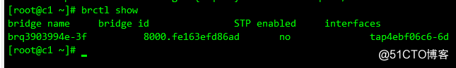 OpenStack Train版双节点安装（十三）启动实例 - 图11