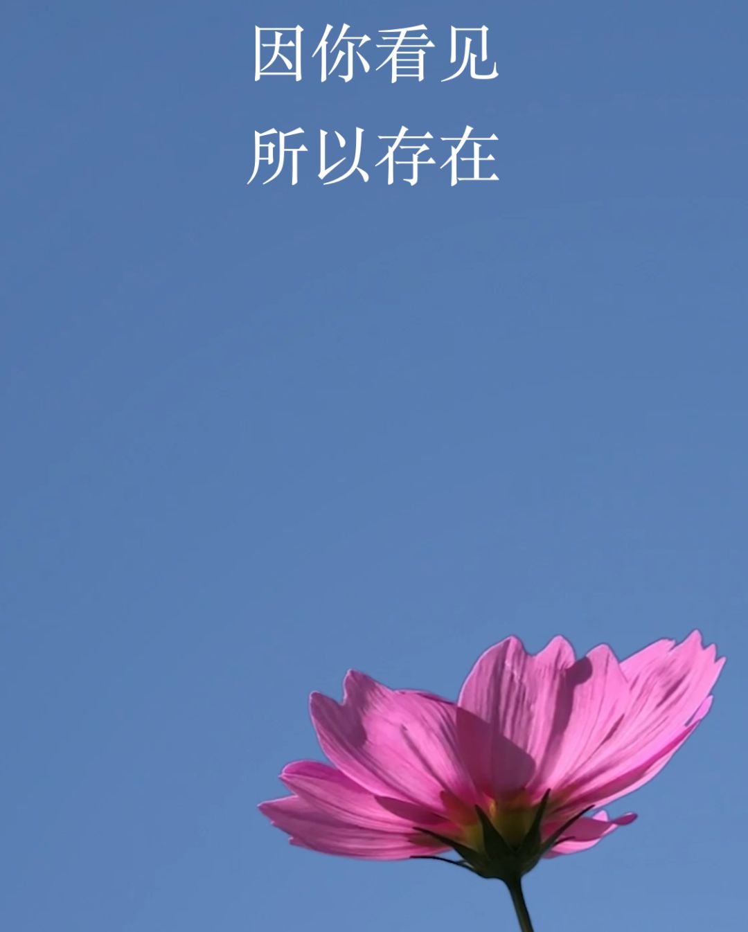 微信 7.0，看一看微信的看一看 - 图1