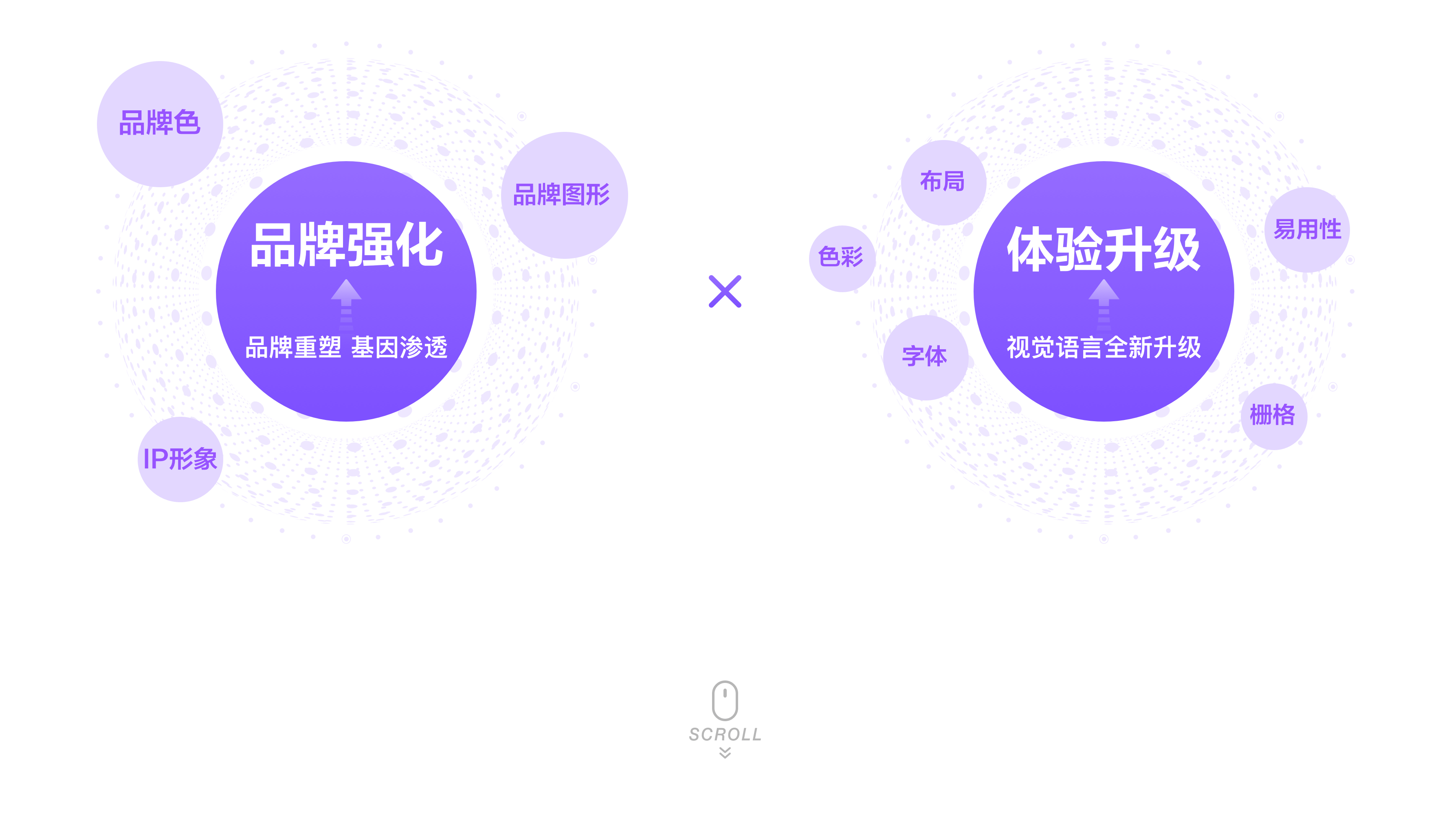 京东国际V9.0【频道品牌升级】 - 图12