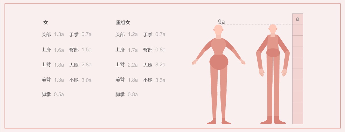 插画组件库-保姆级教程！手把手教你做超实用（附组件库下载） - 图18