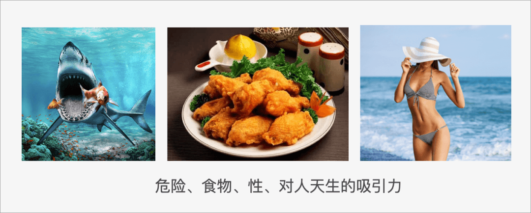 *设计师如何吸引用户注意力？ - 图20