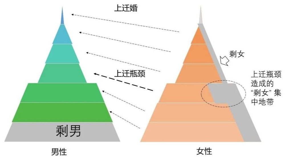 为什么“剩男”大多因为穷，“剩女”却什么类型都有？ - 图8