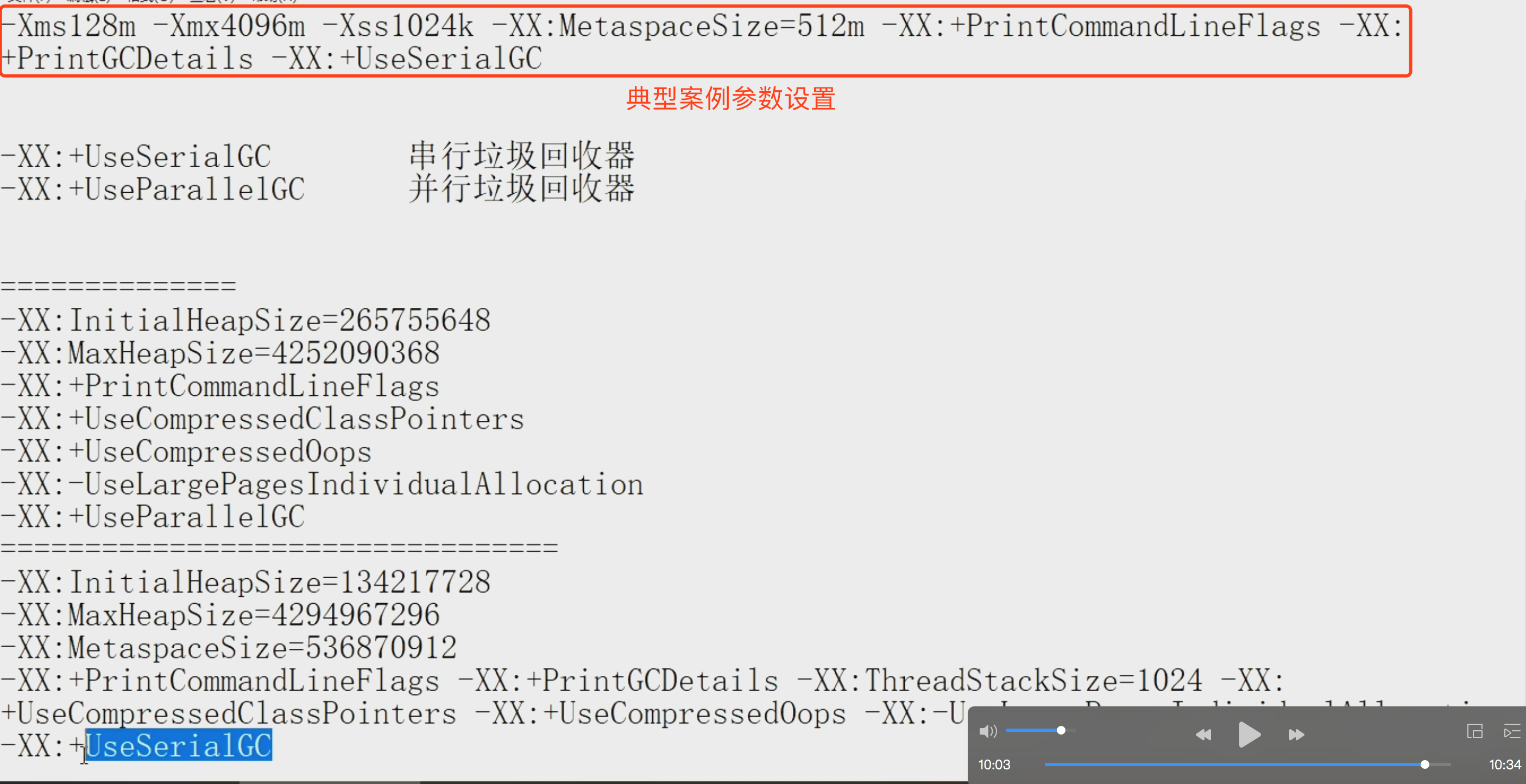 12-JVM24-参数案例设置.png