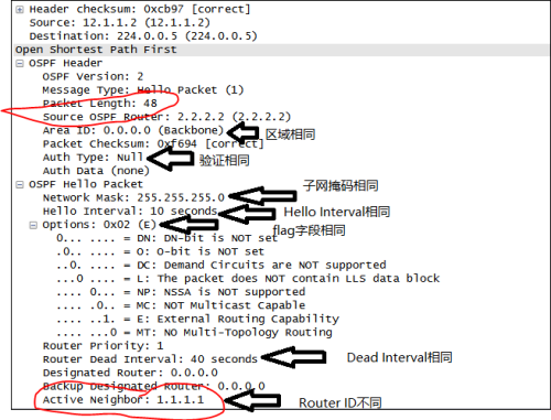 ospf-3.png