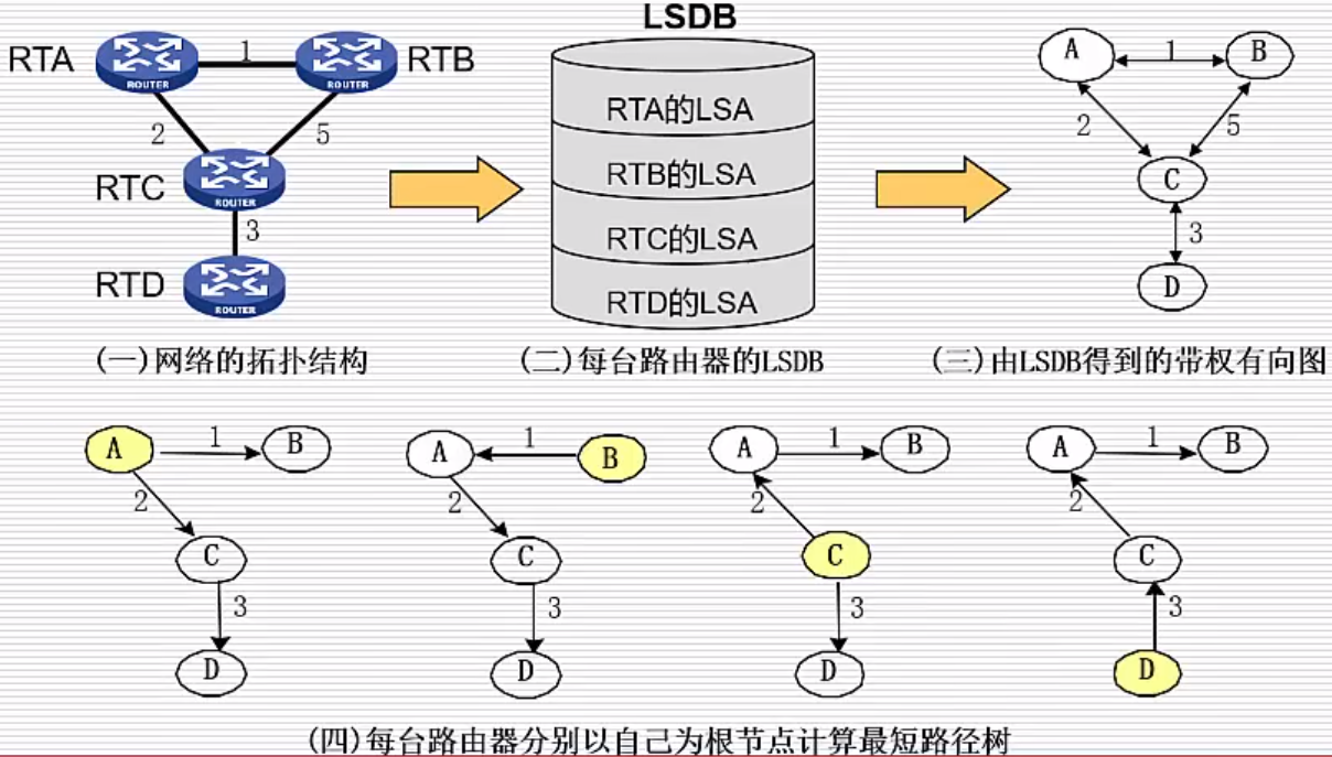 ospf7.png