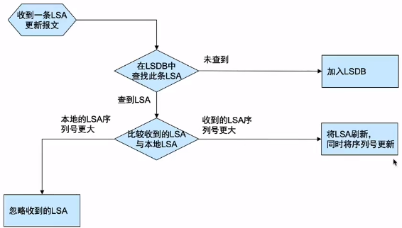 LSDB更新.png