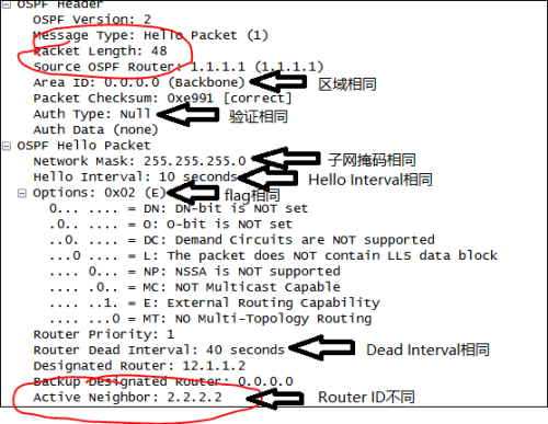 ospf-4.png