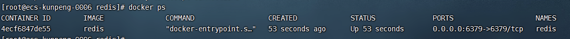 ARM64架构的Linux操作系统Docker安装Redis - 图2