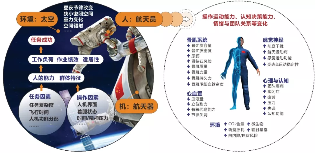 人因工程研究进展及发展建议 - 图1