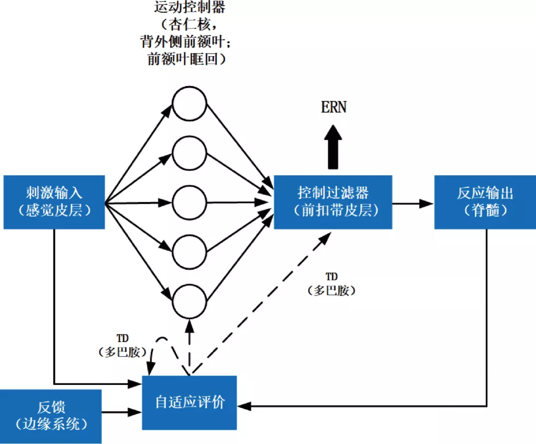 人因工程研究进展及发展建议 - 图3