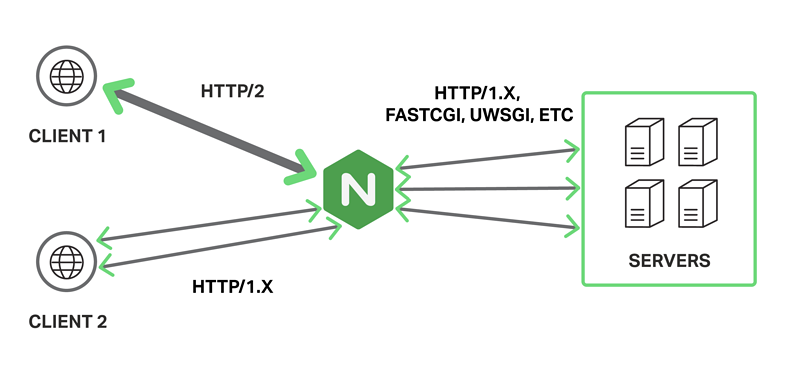 Nginx - 图3