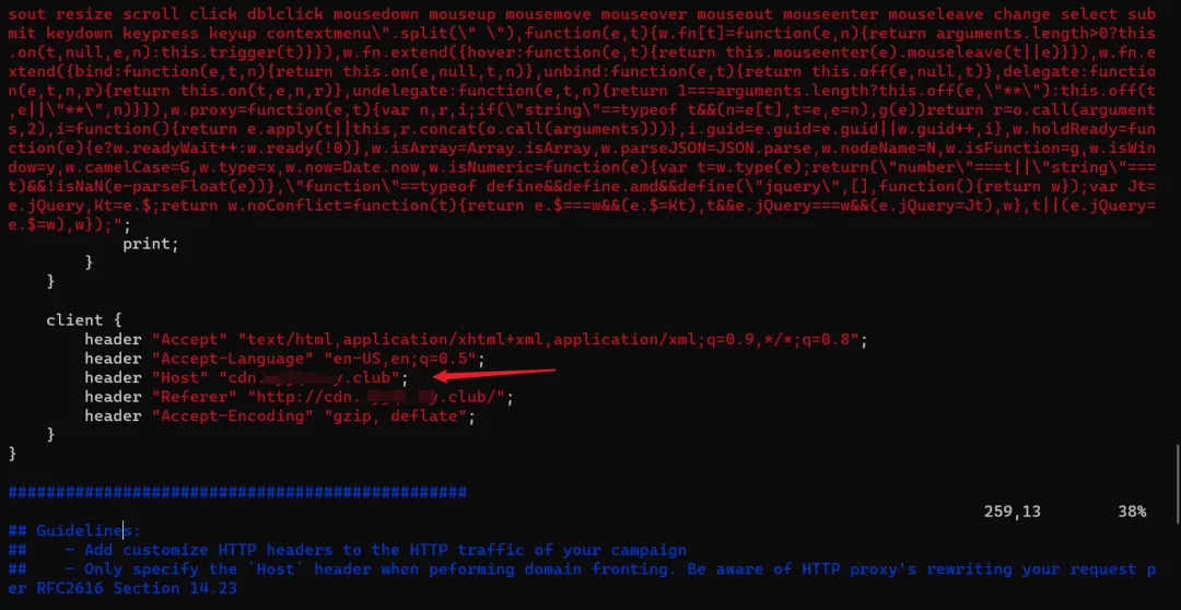 火线Zone-h1nt - APT级CS隐藏教程：使用反向代理、C2-Profile和CDN拉满溯源难度 - 图7