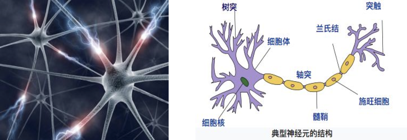NN简介.png