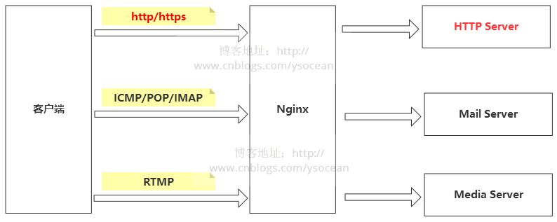 Nginx - 图1