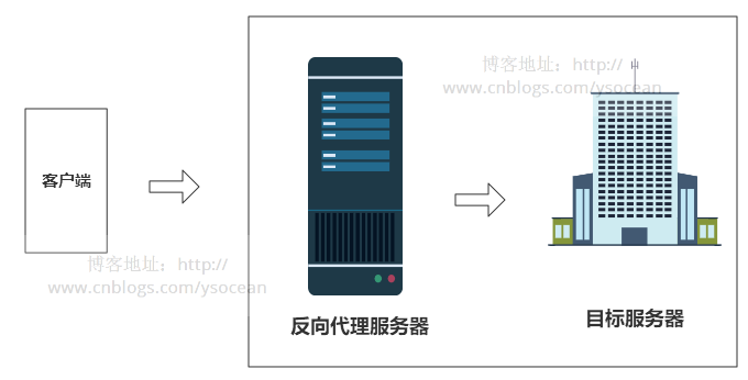 Nginx - 图3