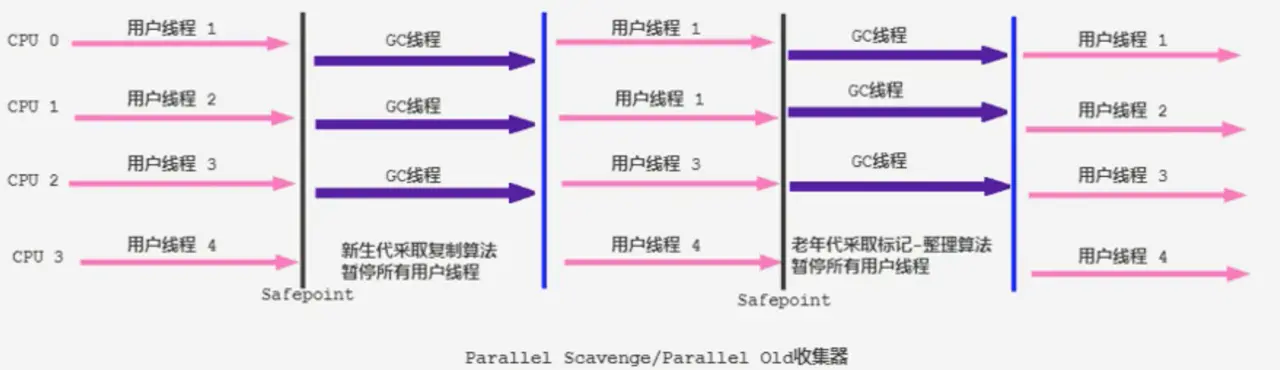 172f88bd8272c80d.webp