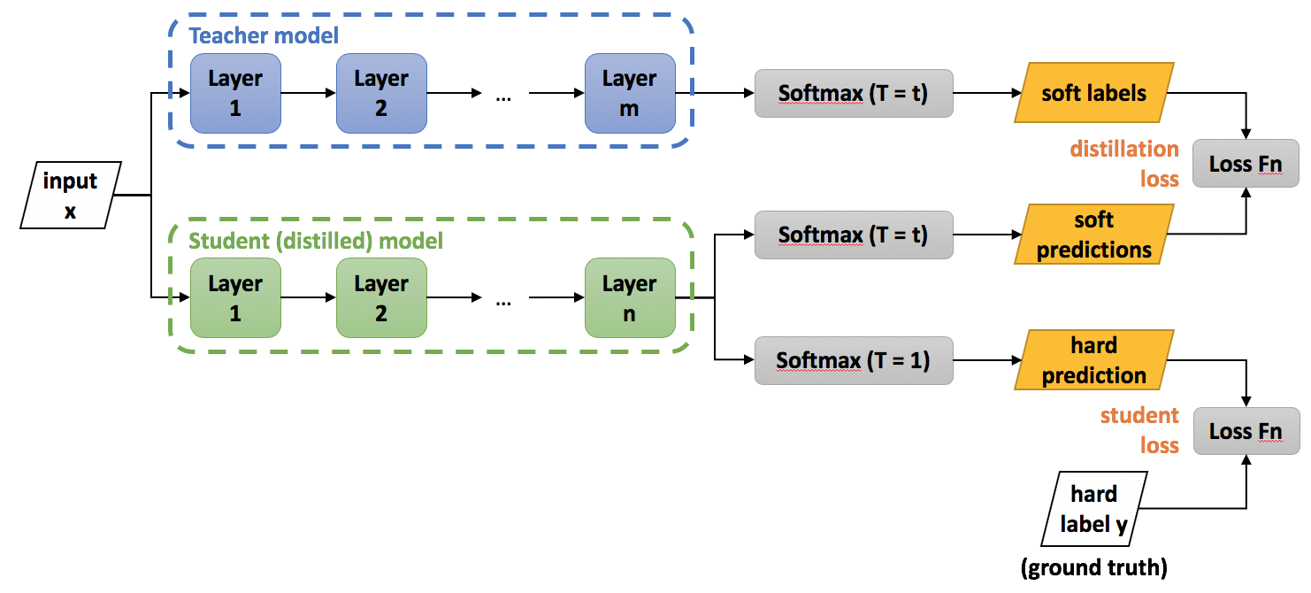 知识蒸馏 Knowledge Distillation - 图1