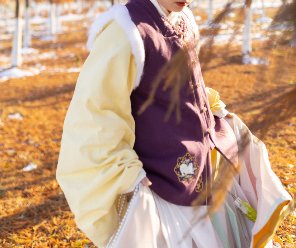 轻熟文艺风汉服穿搭技巧 - 图3