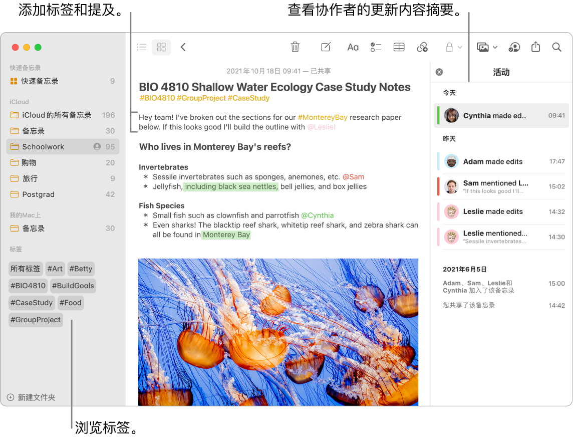 21款todo软件/待办事项管理软件盘点 - 图14