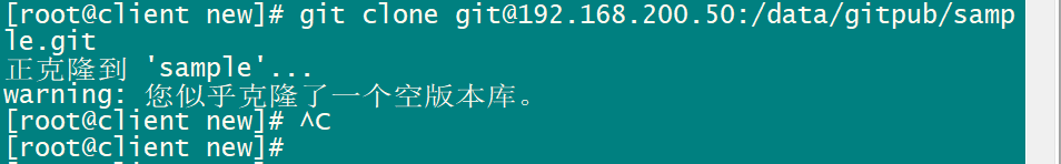 Gitlab - 图11