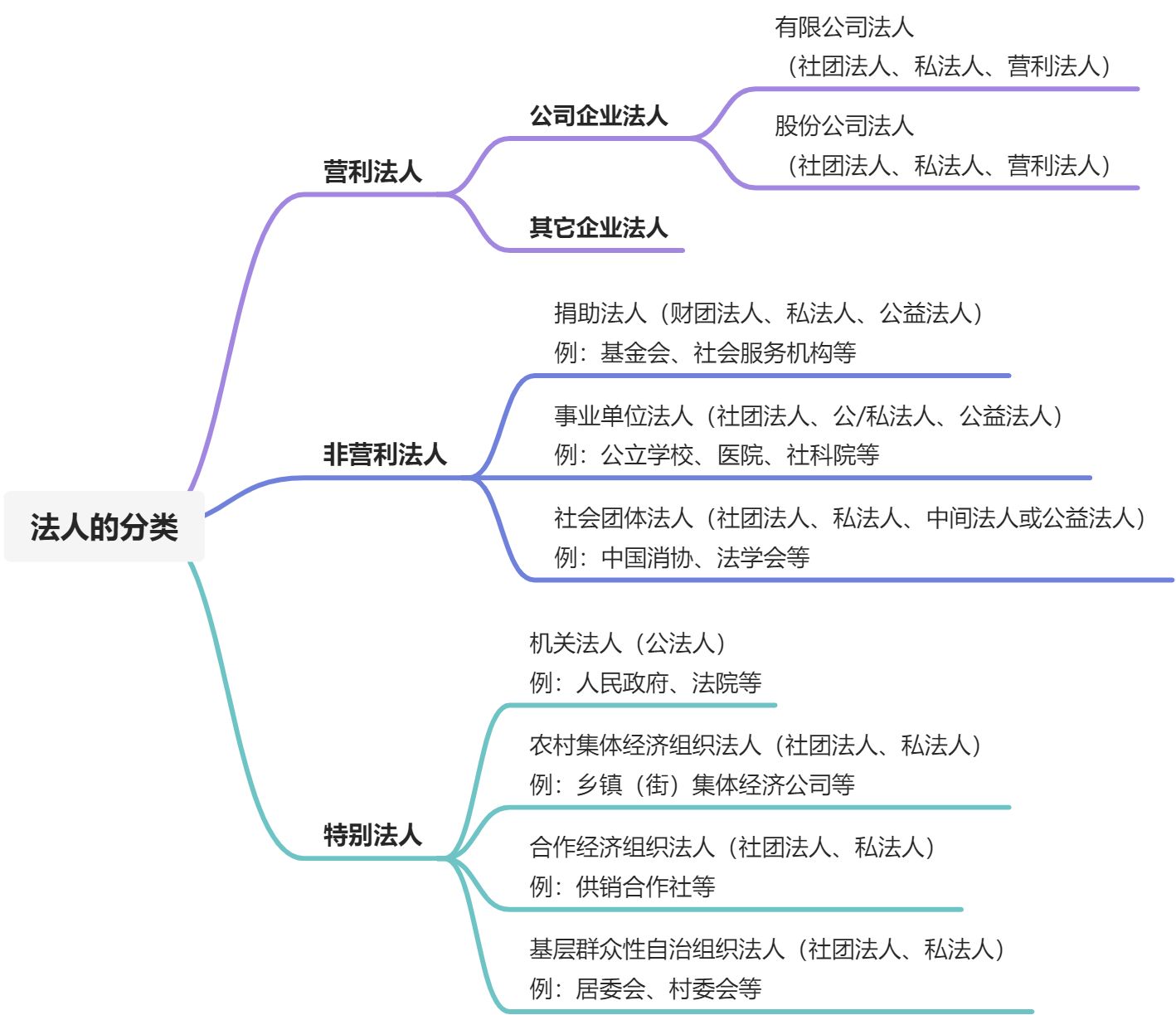 法人和非法人组织 - 图1