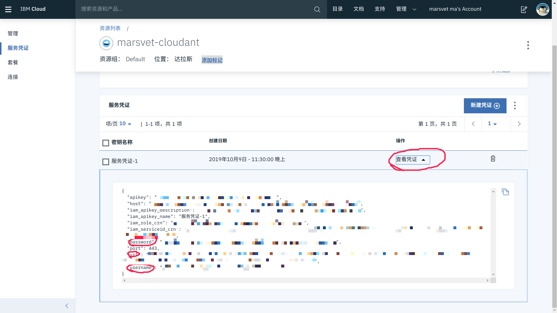 在 IBM Cloud 上部署永久免费的 Flask 应用程序 - 图10