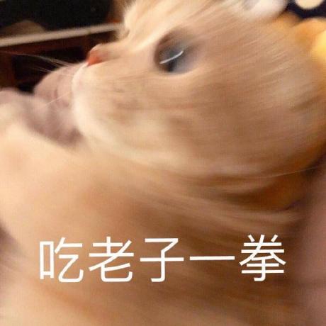 MobX 中文文档 - 图8