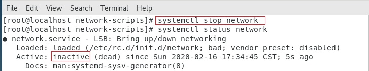 network02.jpg