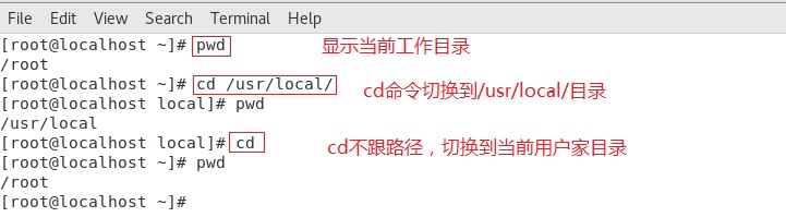cd01.jpg