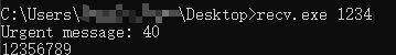 § Windows 中的 send & recv - 图1