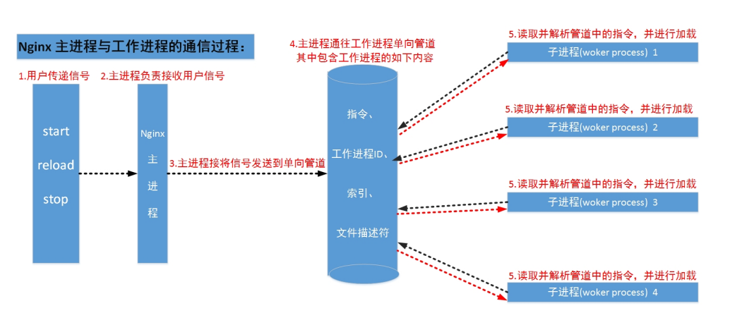 image-20210208102836569.png
