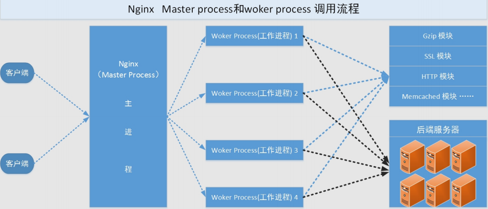 image-20210208102124320.png