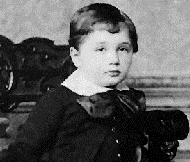 Einstein crop