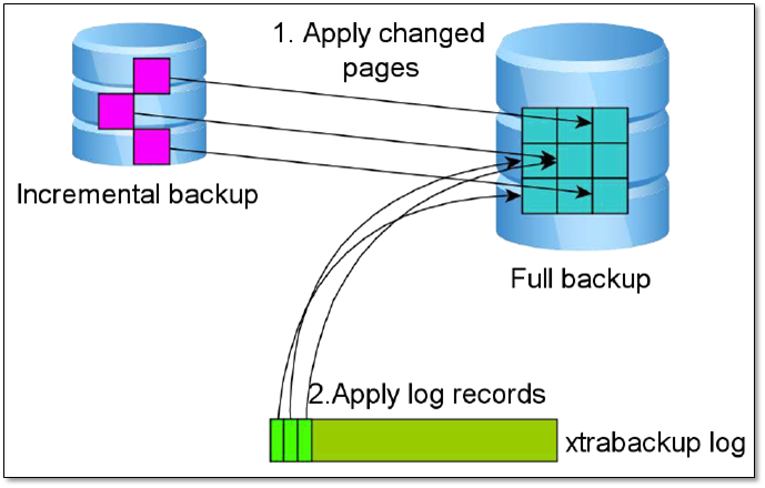 Mysql 备份恢复与xtrabackup备份 - 图6