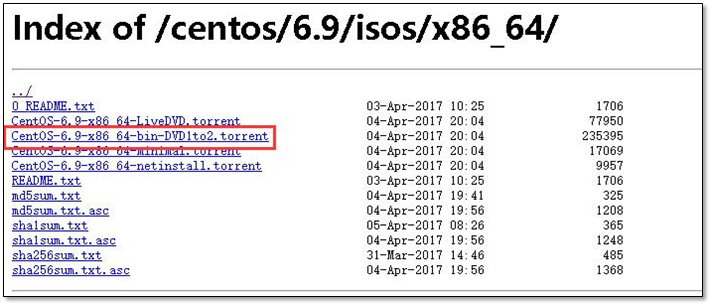Linux系统安装_Centos6.9 - 图1