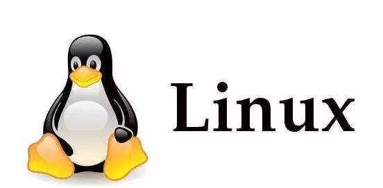SpringBoot笔记（五）Linux系统与项目部署 - 图1