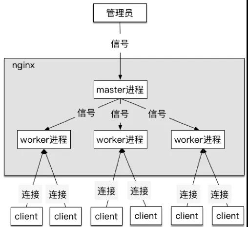 Nginx图解 - 图2