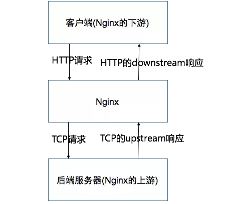 Nginx图解 - 图10