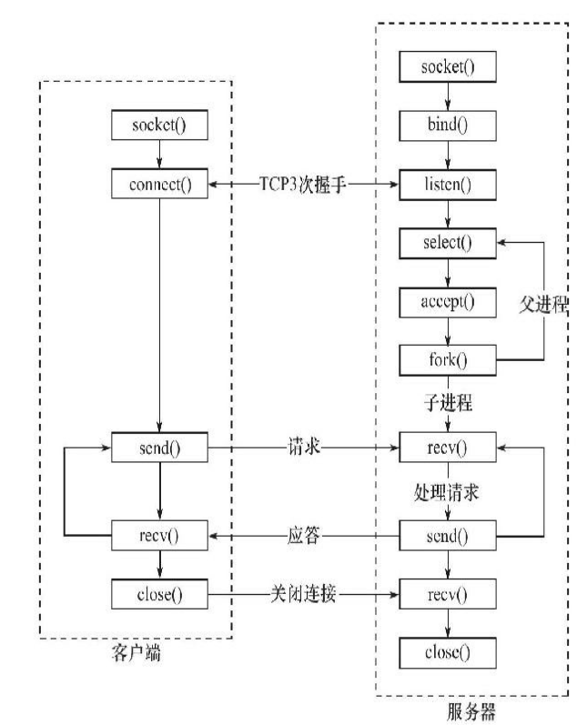 TinyWebServer - 图1