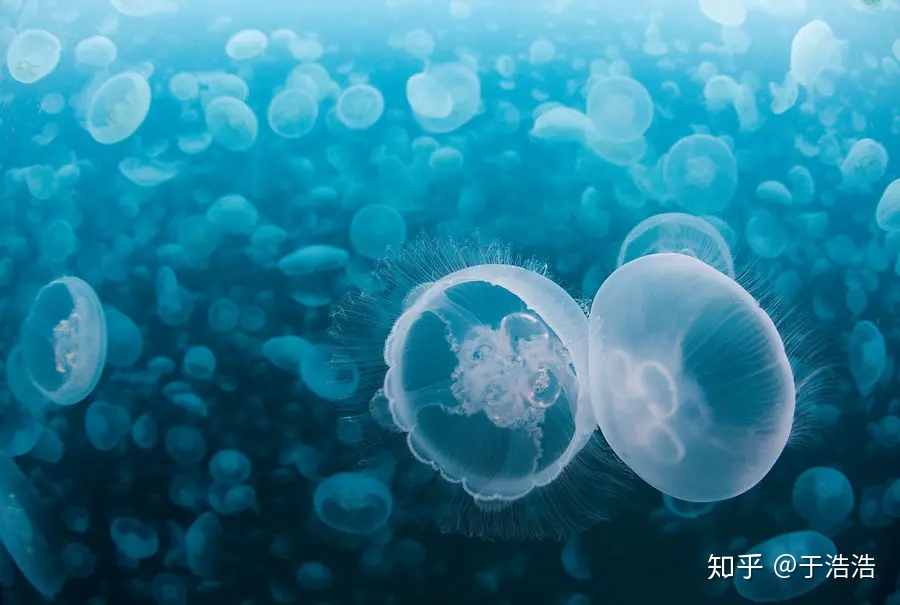神级记录片 - 图56