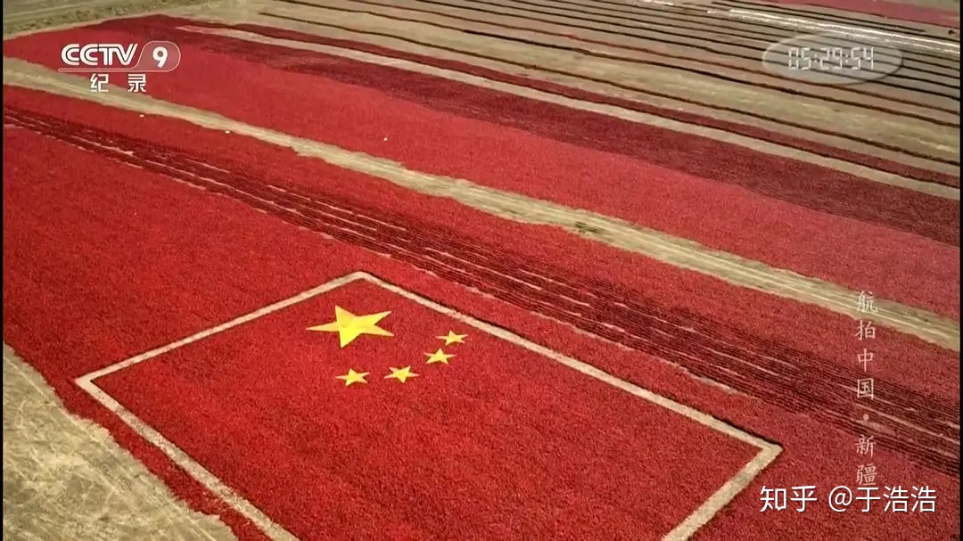 神级记录片 - 图62