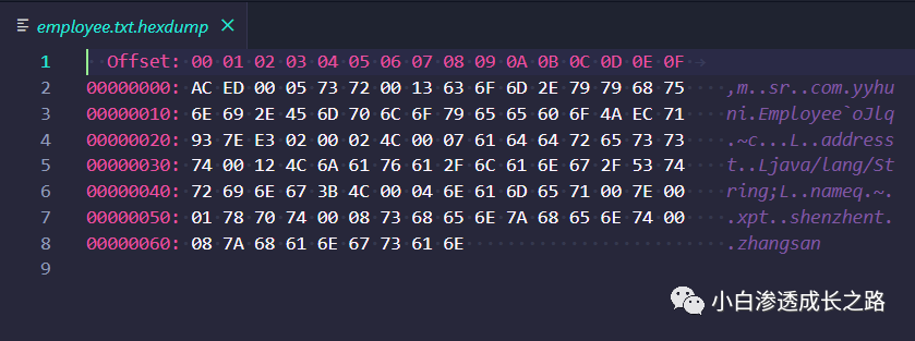 入门JAVA反序列化 - 图1