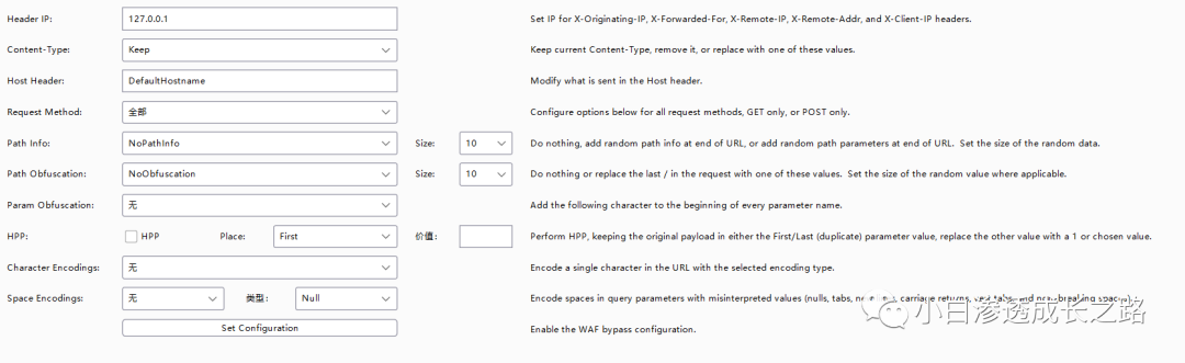 武装你的Burp Suite-好用插件分享 - 图1