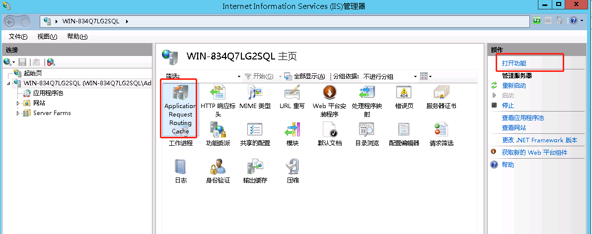 .NET core--搭配vue(history)部署IIS - 图42