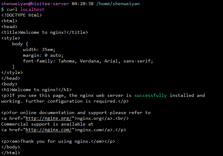 nginx-curl-localhost.png