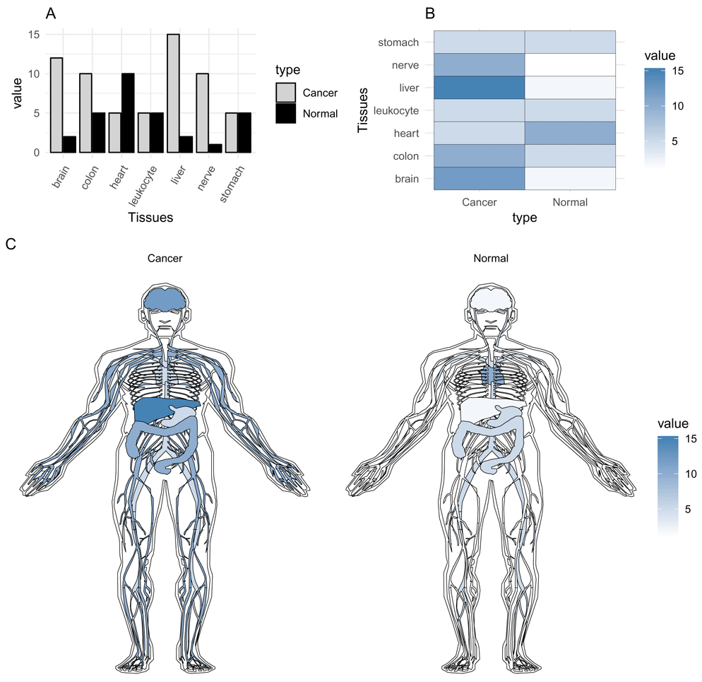 基于 ggplot2 的解剖图和组织模块可视化 - 图1