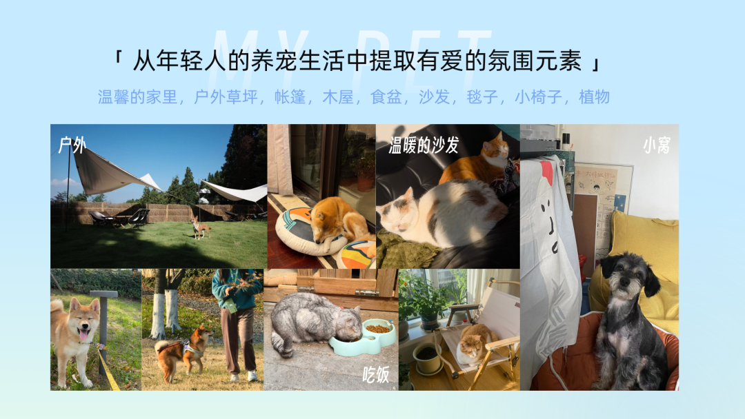 阿里|赛博宠物全链路设计:哈基米拿捏年轻人! - 图11