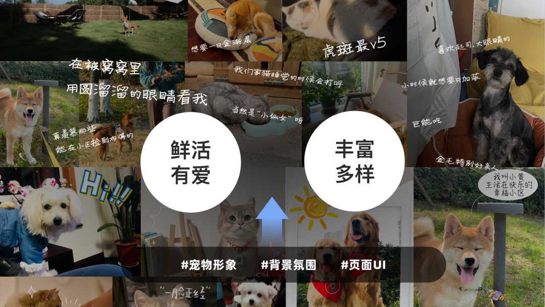 阿里|赛博宠物全链路设计:哈基米拿捏年轻人! - 图2