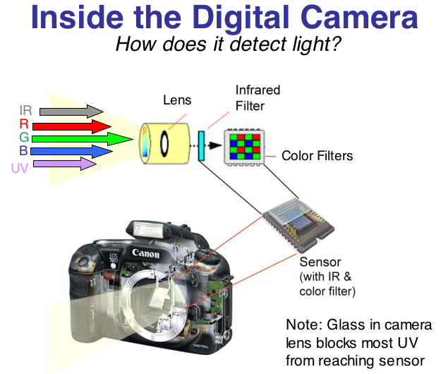 lightinsidecamera.png